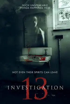 Investigation 13 (2019)